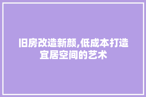 旧房改造新颜,低成本打造宜居空间的艺术 厨房维修