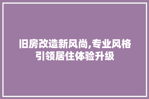 旧房改造新风尚,专业风格引领居住体验升级 厨房维修