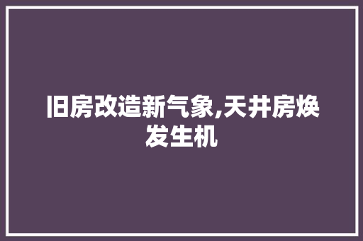 旧房改造新气象,天井房焕发生机 墙体维修