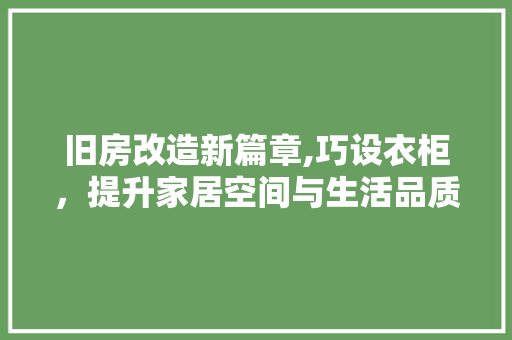 旧房改造新篇章,巧设衣柜，提升家居空间与生活品质 厨房维修