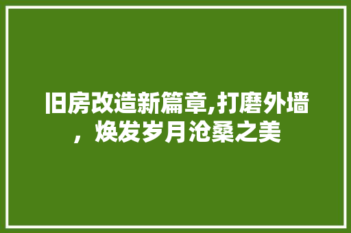 旧房改造新篇章,打磨外墙，焕发岁月沧桑之美 家电维修