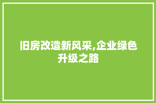 旧房改造新风采,企业绿色升级之路 墙体维修