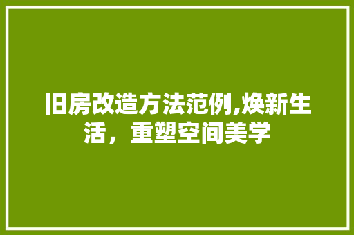 旧房改造方法范例,焕新生活，重塑空间美学 厨房维修