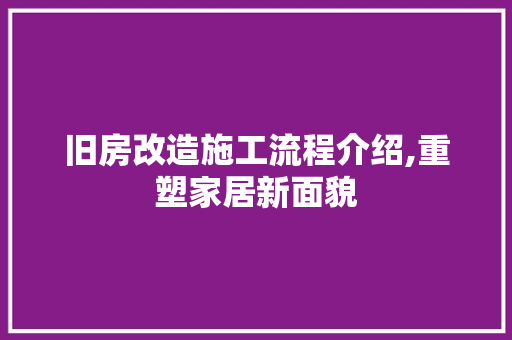 旧房改造施工流程介绍,重塑家居新面貌 汽车维修