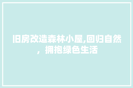 旧房改造森林小屋,回归自然，拥抱绿色生活 厨房维修