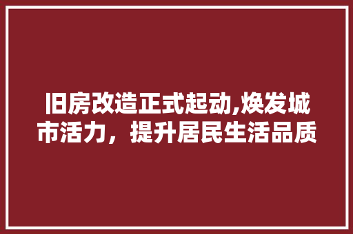 旧房改造正式起动,焕发城市活力，提升居民生活品质 厨房维修