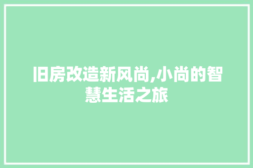 旧房改造新风尚,小尚的智慧生活之旅 墙体维修