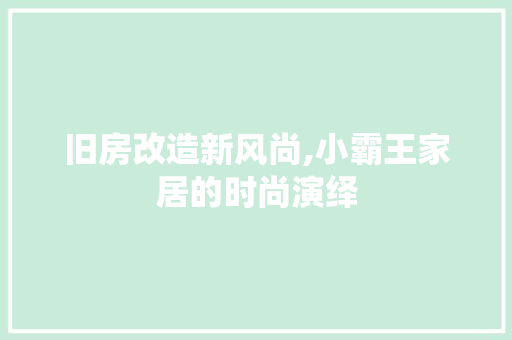 旧房改造新风尚,小霸王家居的时尚演绎 汽车维修