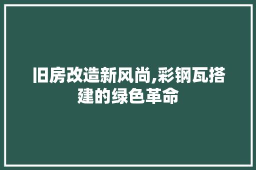 旧房改造新风尚,彩钢瓦搭建的绿色革命 墙体维修