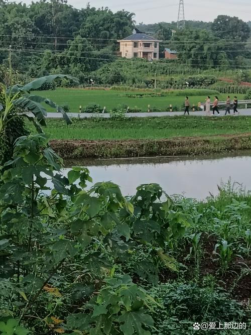 北湖村焕新颜,一场绿意盎然的乡村振兴之旅 厨房维修 北湖村焕新颜,一场绿意盎然的乡村振兴之旅 北湖村焕新颜,一场绿意盎然的乡村振兴之旅 厨房维修