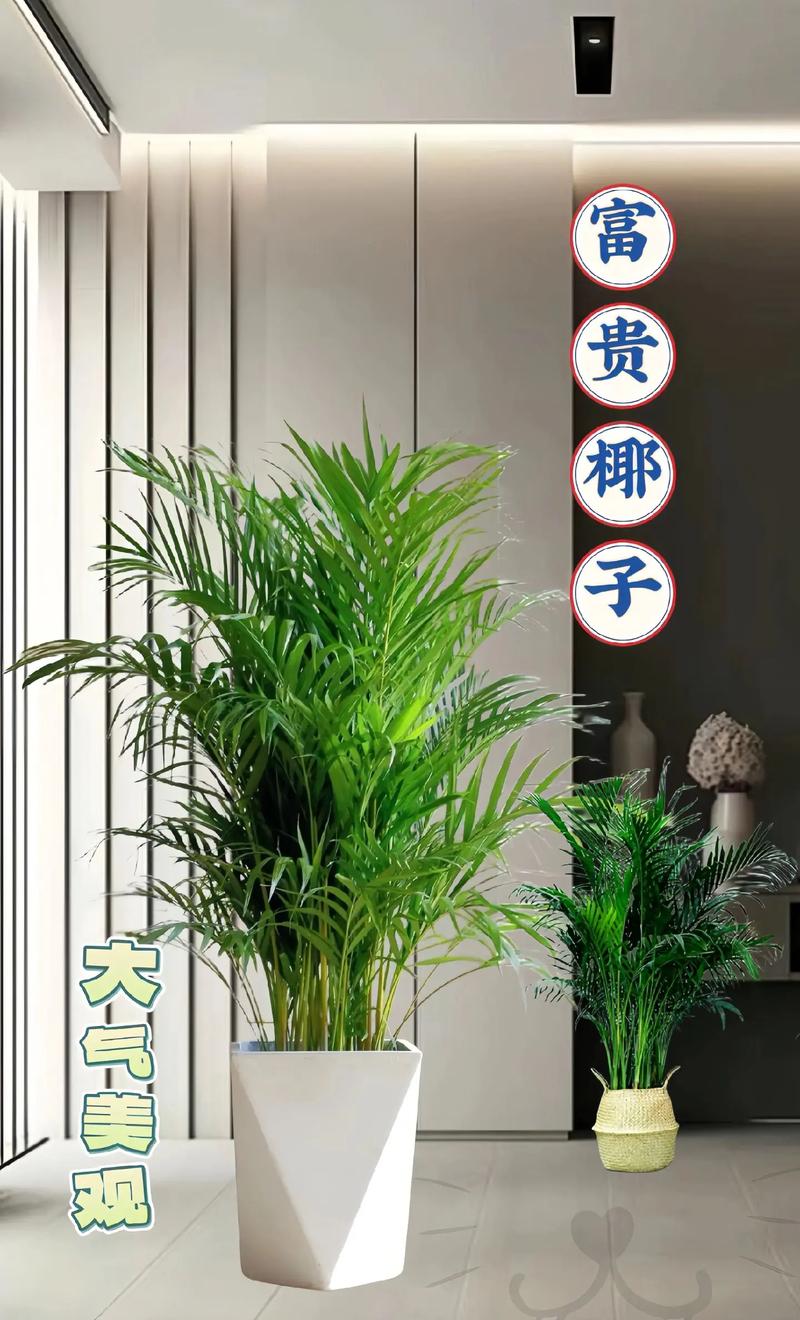 实木装修风水分析,探寻绿色家居与风水之和谐共鸣 墙体维修 实木装修风水分析,探寻绿色家居与风水之和谐共鸣 实木装修风水分析,探寻绿色家居与风水之和谐共鸣 墙体维修
