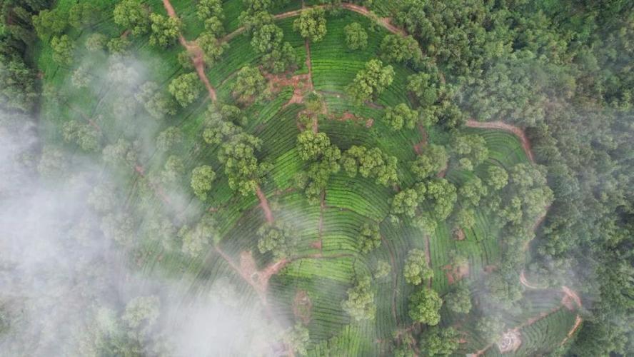 临汾空气能供暖,绿色节能的冬日暖阳_临汾空气能供暖报价 厨房维修 临汾空气能供暖,绿色节能的冬日暖阳_临汾空气能供暖报价 临汾空气能供暖,绿色节能的冬日暖阳_临汾空气能供暖报价 厨房维修