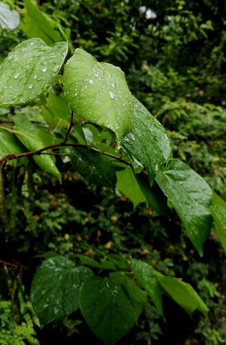 介绍空气能电柜,节能环保的绿色能源革命_空气能电柜 厨房维修 介绍空气能电柜,节能环保的绿色能源革命_空气能电柜 介绍空气能电柜,节能环保的绿色能源革命_空气能电柜 厨房维修