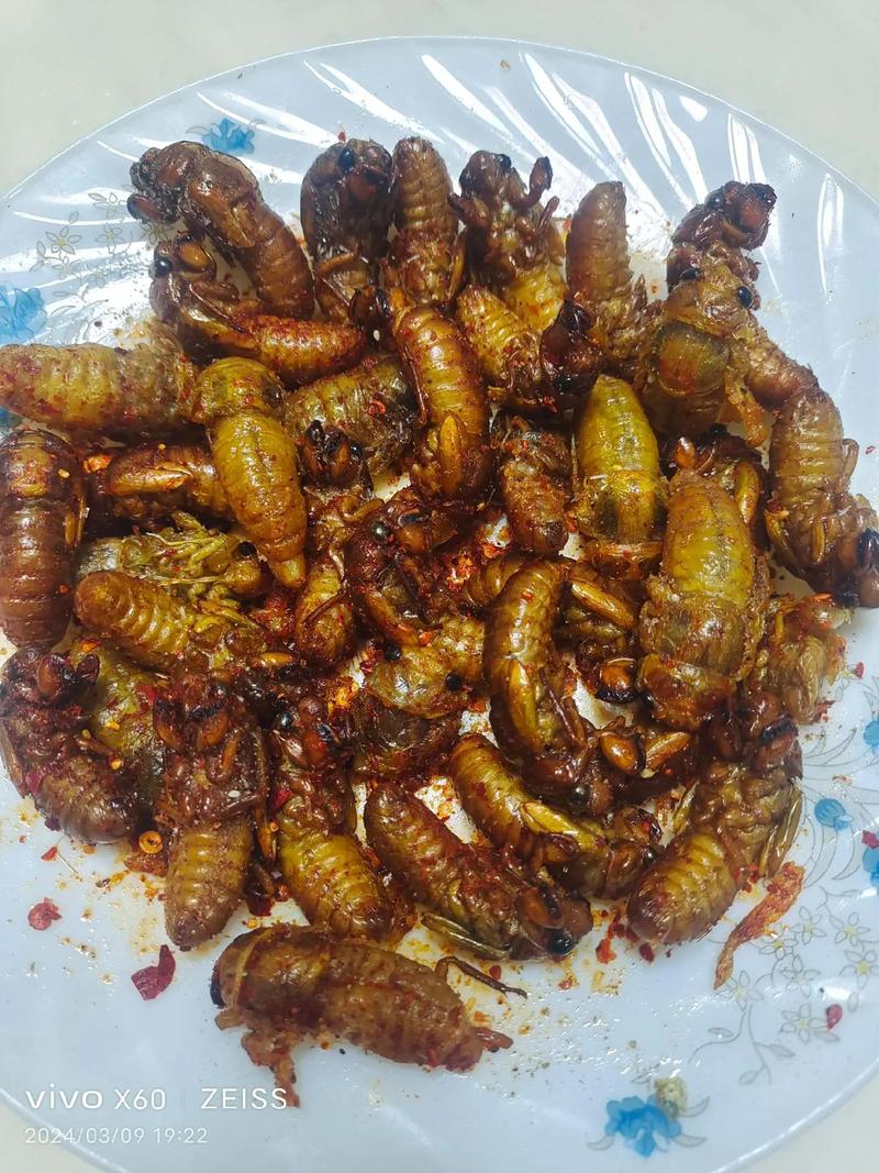 介绍空气能炸蝉蛹,传统美食的现代演绎_空气能炸蝉蛹么