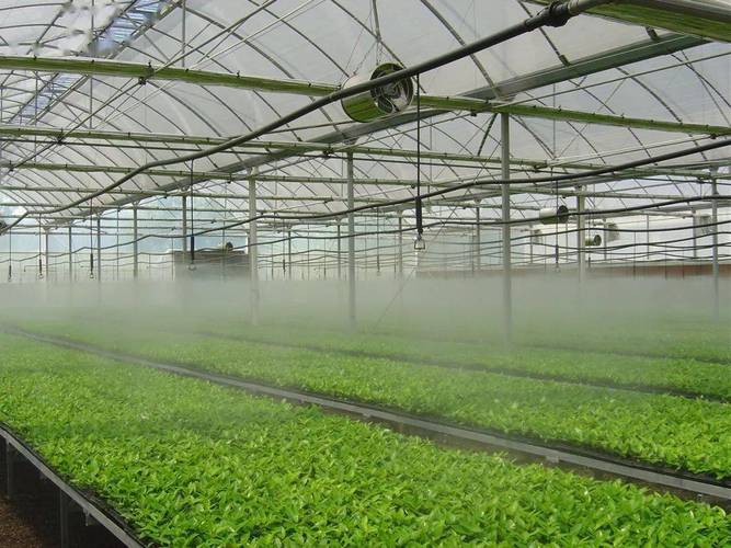 创新科技赋能水产孵化,空气能水产孵化系统引领绿色养殖新潮流_空气能水产孵化系统 家电维修 创新科技赋能水产孵化,空气能水产孵化系统引领绿色养殖新潮流_空气能水产孵化系统 创新科技赋能水产孵化,空气能水产孵化系统引领绿色养殖新潮流_空气能水产孵化系统 家电维修