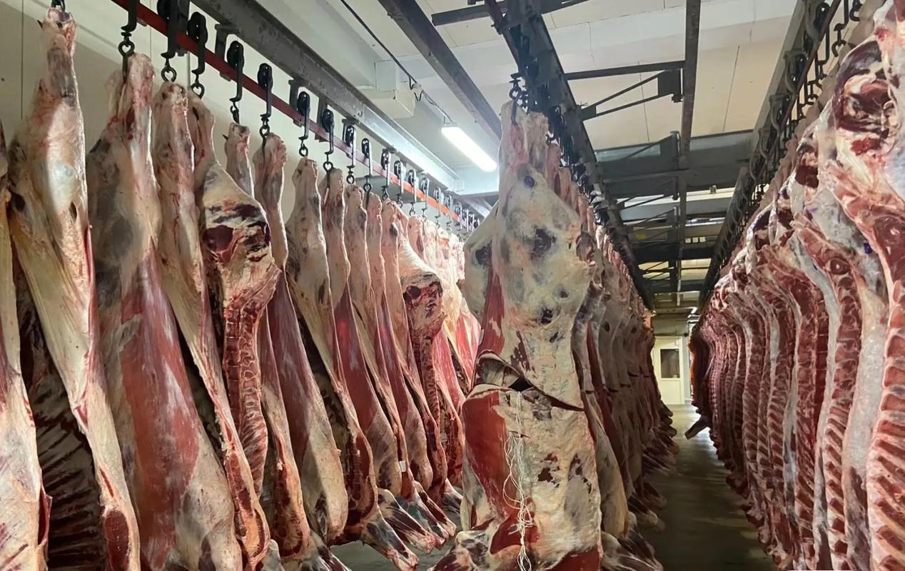 冻品牛羊肉装修图片大全分析,打造现代仓储式卖场新风尚 综合便民 冻品牛羊肉装修图片大全分析,打造现代仓储式卖场新风尚 冻品牛羊肉装修图片大全分析,打造现代仓储式卖场新风尚 综合便民